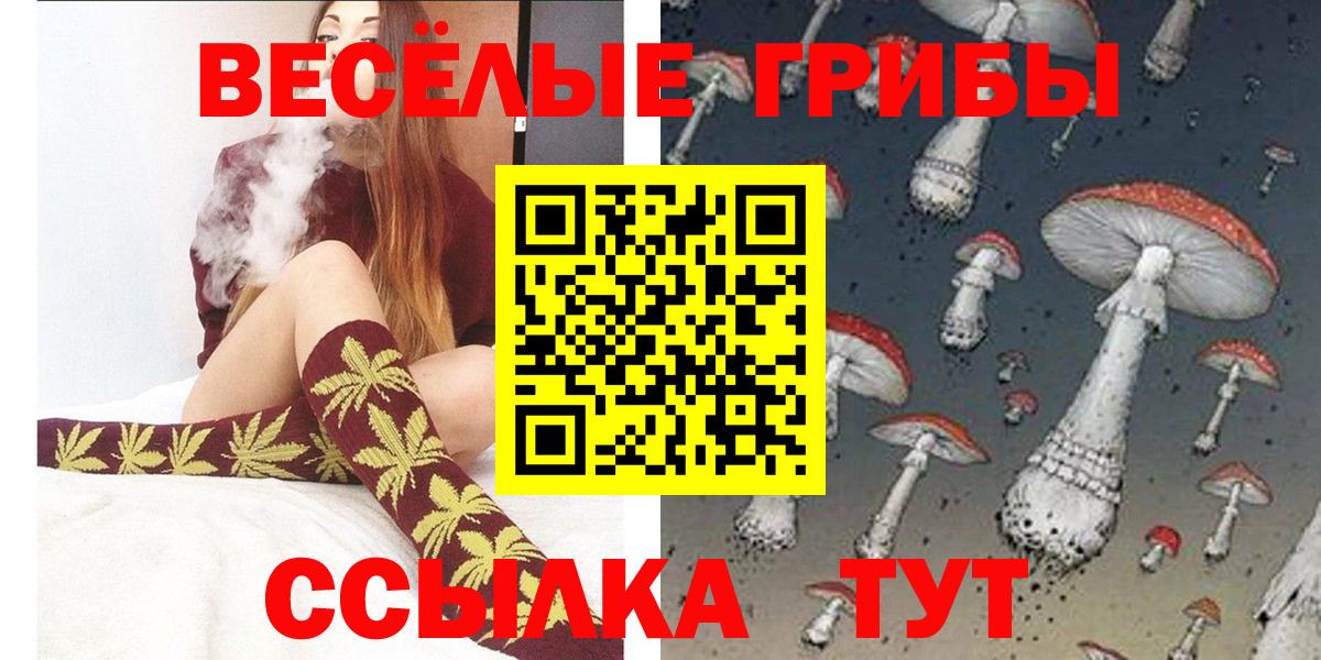 Галлюциногенные грибы Cubensis Бердск