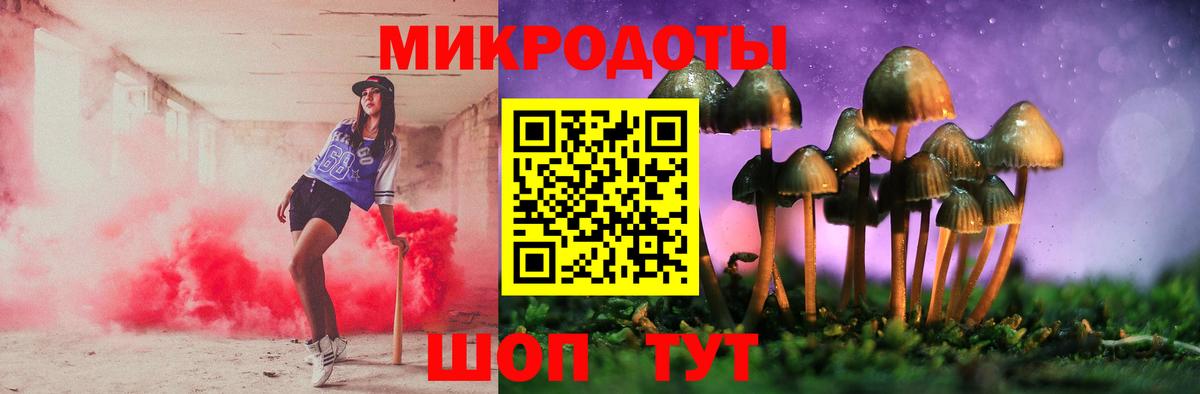 Бердск  Псилоцибиновые грибы мицелий  Псилоцибиновые грибы Magic Shrooms  Вход с VPN 
