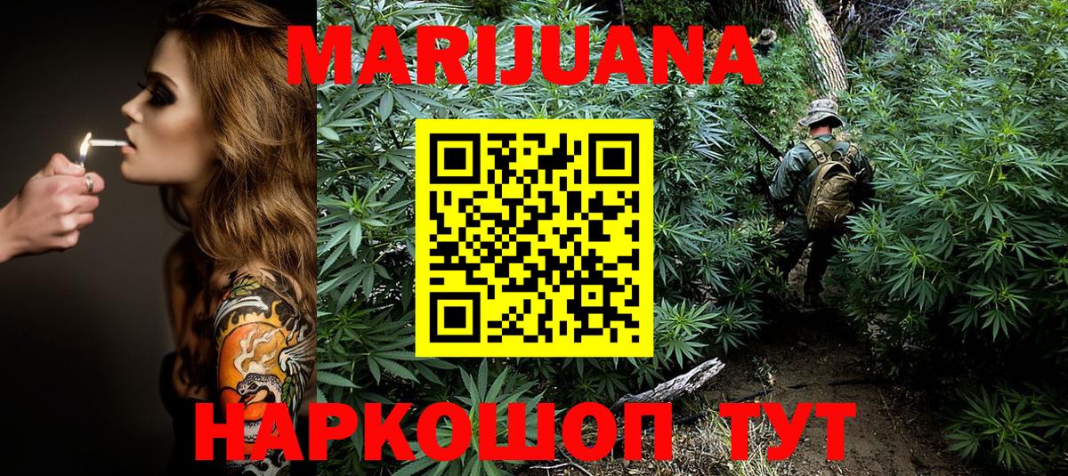 Бошки Шишки планчик  Вход с VPN  Конопля сатива  Бошки марихуана White Widow  Бердск 